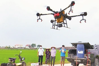 Ứng dụng thiết bị bay không người lái để phun thuốc bảo vệ thực vật tại huyện Phù Ninh, tỉnh Phú Thọ.