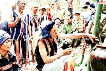 Già làng Siu Tơr cùng bà con thực hiện nghi lễ cúng thần Rừng.