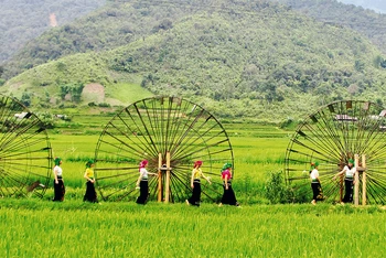 Ðiểm du lịch xã Ngọc Chiến, Mường La với những chiếc cọn nước thu hút đông khách du lịch.