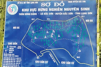 Sơ đồ bảo vệ rừng nghiến nguyên sinh thôn Ðông Ðằng, xã Bắc Sơn, huyện Bắc Sơn, tỉnh Lạng Sơn.