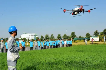 Kỹ sư của Công ty cổ phần Tập đoàn Lộc Trời trình diễn phun thuốc bảo vệ thực vật trên ruộng lúa bằng thiết bị bay không người lái. (Ảnh CÔNG MẠO)