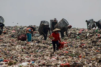 Công nhân thu gom rác thải nhựa tại bãi rác ở Tây Java, Indonesia. (Ảnh Tân Hoa xã)