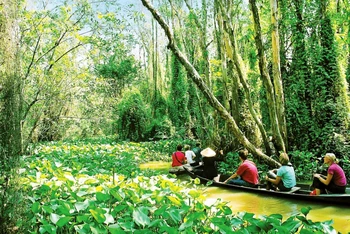 Du lịch khám phá rừng ngày càng được yêu thích. Trong ảnh: Trải nghiệm Khu bảo tồn ngập nước Ðồng Tháp Mười (Long An). (Ảnh LAN PHương)