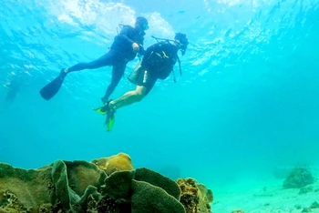 Phú Quốc (tỉnh Kiên Giang) có nhiều điểm lặn biển hấp dẫn du khách trong nước và quốc tế. (Ảnh OnBird Phú Quốc)