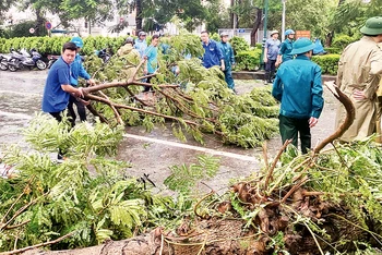 Thanh niên tình nguyện Thủ đô hỗ trợ lực lượng chức năng dọn dẹp cây xanh bị đổ do bão số 3.