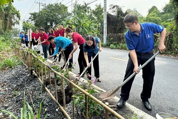 Các bạn trẻ trồng cây, vệ sinh môi trường tại phường An Lạc, quận Bình Tân, Thành phố Hồ Chí Minh.