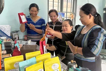 Thành viên Tổ hợp tác cà-phê hữu cơ Oh mi Koho coffee đóng gói sản phẩm.