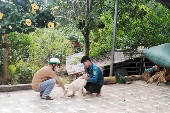 Cán bộ thú y tỉnh Phú Thọ tiêm vắc-xin phòng, chống bệnh dại tại các địa phương trong tỉnh.