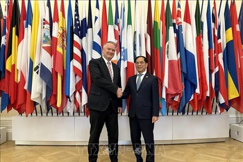 Tổng Thư ký Mathias Cormann đón Bộ trưởng Ngoại giao Bùi Thanh Sơn ngày 6/6 tại trụ sở OECD ở thủ đô Paris, Pháp (Ảnh: NGUYỄN THU HÀ/TTXVN)