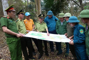 Lực lượng kiểm lâm phối hợp với các đơn vị triển khai phương án tuần tra, bảo vệ rừng.