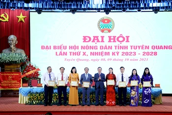 Đồng chí Lương Quốc Đoàn, Ủy viên Trung ương Đảng, Chủ tịch Hội Nông dân Việt Nam trao kỷ niệm chương cho các cá nhân.
