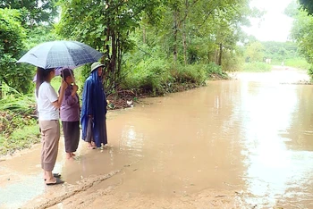 Mưa lớn gây ngập úng cục bộ ở nhiều địa phương trên địa bàn tỉnh Tuyên Quang.