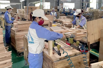 Dây chuyền sản xuất đồ gỗ xuất khẩu của Công ty cổ phần Woodsland Tuyên Quang.