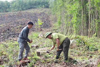 Đơn vị tham gia trồng cây bản địa tại diện tích rừng hộ ông Thiều Song.