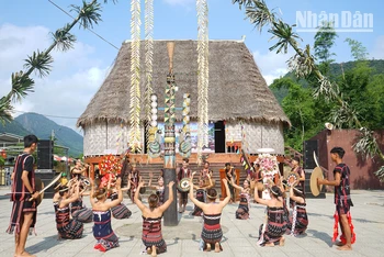 Đồng bào dân tộc thiểu số Cơ Tu sinh sống tập trung tại hai thôn Tà Lang, Giàn Bí, xã Hòa Bắc và thôn Phú Túc, xã Hòa Phú (huyện Hòa Vang).