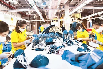 Lao động tại Công ty TNHH May mặc Dony, huyện Bình Chánh, TP Hồ Chí Minh. (Ảnh minh họa: Quang Quý)