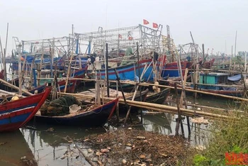 Tàu thuyền vào nơi tránh trú an toàn với bão số 2 ở ven biển ở huyện Nghĩa Hưng, Nam Định (Ảnh minh họa: Trần Khánh).