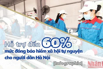 [Infographic] Hỗ trợ đến 60% mức đóng bảo hiểm xã hội tự nguyện cho người dân Hà Nội