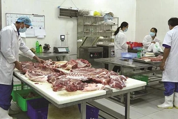 Sơ chế sản phẩm thịt lợn sạch tại Hợp tác xã chăn nuôi Hoàng Long.