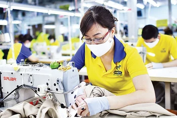 Lao động may quần áo xuất khẩu tại một doanh nghiệp ở Thành phố Hồ Chí Minh. (Ảnh: nhandan.vn)