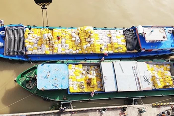 Vận tải hàng hóa đường thủy là hướng lưu thông hiệu quả cho nông sản tại đồng bằng sông Cửu Long. (Ảnh minh họa: QUỐC DŨNG) 