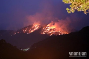 Hiện trường vụ cháy rừng vào ngày 7/4 tại đèo Prenn-Đà Lạt, Lâm Đồng. (Ảnh: Bảo Văn)