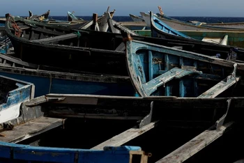 Hàng chục chiếc thuyền gỗ do người di cư sử dụng để đến quần đảo Canary được thấy tại cảng Arinaga, thuộc đảo Gran Canaria, Tây Ban Nha, ngày 7/6/2022. (Ảnh: Reuters)
