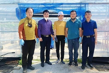 Cán bộ Sở Lao động-Thương binh và Xã hội Quảng Bình thăm nơi làm việc của lao động thời vụ sang làm việc tại Hàn Quốc. (Ảnh: Hương Giang)