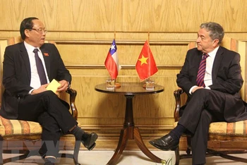 Phó Chủ tịch Quốc hội Trần Quang Phương hội đàm với Chủ tịch Thượng viện Chile Juan Antonio Coloma. (Ảnh: TTXVN)