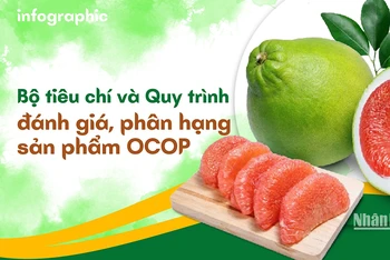 [Infographic] Bộ tiêu chí và Quy trình đánh giá, phân hạng sản phẩm OCOP 