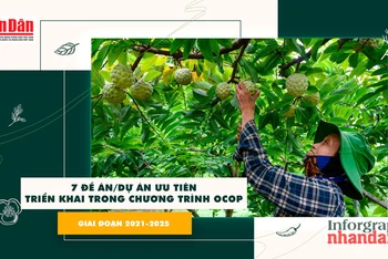 [Infographic] 7 đề án/dự án ưu tiên triển khai trong Chương trình OCOP giai đoạn 2021-2025 