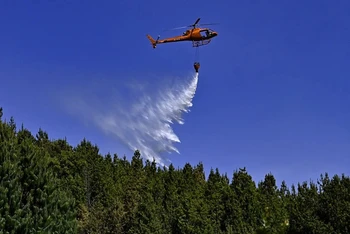 Lực lượng cứu hỏa phải sử dụng trực thăng hỗ trợ ngăn đám cháy rừng. (Ảnh: AFP/TTXN)
