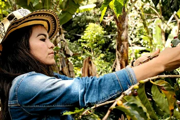 Deyanira Cordoba, một trong những phụ nữ trồng cà-phê ở Tablón de Gómez, vùng Nariño của Colombia. Là một phần của dự án UN Women, cô đã tìm hiểu về các quyền kinh tế, quyền tự chủ về cơ thể của mình và hơn thế nữa. Ảnh: UN Women 