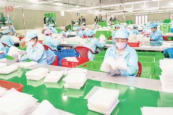 Lao động tại Công ty TNHH Tân Nhiên, Tây Ninh. (Ảnh: MINH ANH)