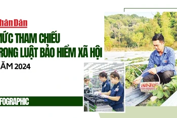 [Infographic] Mức tham chiếu trong Luật Bảo hiểm xã hội năm 2024