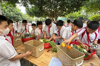 Học sinh Trường trung học cơ sở Nam Trung Yên, quận Cầu Giấy, tham gia trò chơi dinh dưỡng cầu vồng, tháng 12/2023. Các loại rau, củ, quả có màu sắc tương ứng màu sắc của cầu vồng, mỗi màu sắc có một giá trị dinh dưỡng và tác dụng khác nhau với sức khỏe. (Ảnh: Dự án cung cấp)