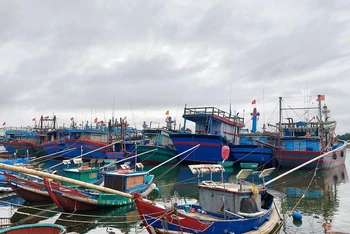Tàu thuyền được ngư dân Quảng Trị đưa lên bờ neo đậu phòng chống bão Noru.