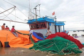 Đến chiều 25/9, tất cả chủ của 2.302 tàu thuyền với 6.136 thuyền viên của tỉnh Quảng Trị đã nhận được thông tin về bão Noru để phòng, tránh. (Ảnh: Nguyên Lý/TTXVN)