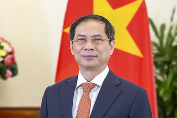 Bộ trưởng Ngoại giao Bùi Thanh Sơn. (Ảnh: Bộ Ngoại giao)