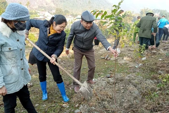 Lãnh đạo tỉnh Bắc Kạn tham gia trồng cây tại huyện Chợ Mới. (Ảnh: Lý Dũng)