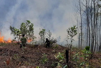 Lực lượng chức năng dập lửa một đám cháy rừng tại thành phố Bắc Kạn. (Ảnh: THU TRANG).