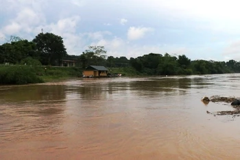 Nước lũ đang lên trên sông Bưởi ở huyện Thạch Thành, tỉnh Thanh Hóa.