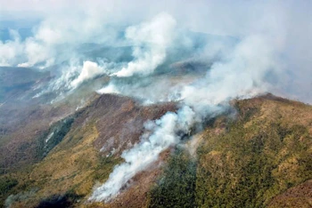 Khói bốc lên từ đám cháy rừng ở Cuba. (Ảnh REUTERS)