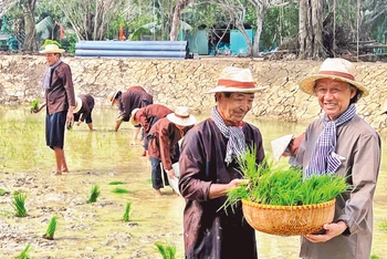 Mô hình cho mượn đất để trồng lúa của cựu chiến binh Trần Bá Sanh nhằm tạo kinh phí giúp các hội viên khó khăn.