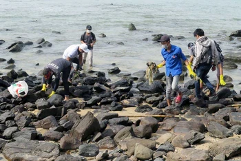 Đoàn viên, thanh niên tỉnh Phú Yên dọn rác ở bờ biển Hòn Yến, Phú Yên. (Ảnh TTXVN)