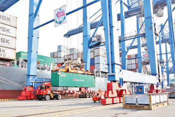 Vận chuyển hàng hóa xuất, nhập khẩu tại cảng Cát Lái (thành phố Thủ Đức, Thành phố Hồ Chí Minh).