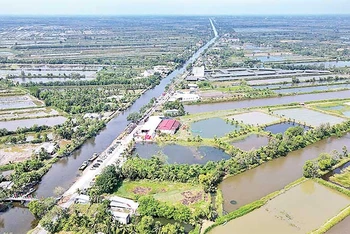 Đến cuối tháng 5/2023, tuyến chính đường cao tốc đoạn qua huyện Thới Bình, Cà Mau đã bàn giao mặt bằng sạch đạt 95%.