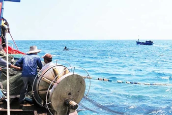 Ngư dân Quảng Ngãi đánh bắt hải sản.
