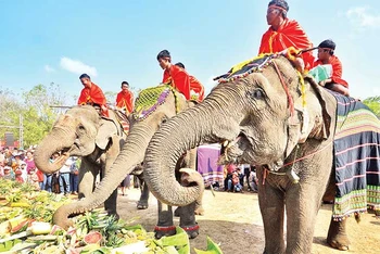 Du khách và người dân địa phương háo hức tận mắt chứng kiến đàn voi nhà thưởng thức tiệc buffet.