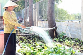 Nhu cầu sử dụng nước sạch của người dân tại xã Tân Tập, huyện Cần Giuộc, tỉnh Long An trong sinh hoạt và sản xuất được bảo đảm. (Ảnh SƠN QUÊ)